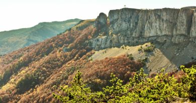 Экскурсии в `Крымский природный заповедник` из Мирного
